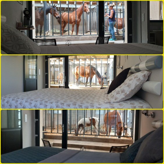 Domaine AbracadaRoom : Equi-lodges - Image 7