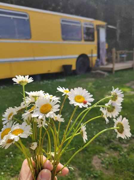 Hébergement AbracadaRoom : Le Bus - Image 13