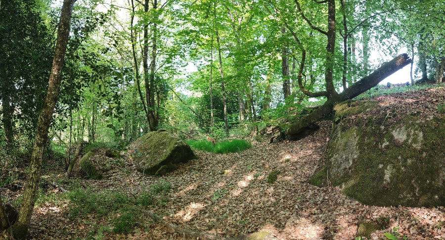 Domaine AbracadaRoom : Le Domaine des Roches' L - Image 6