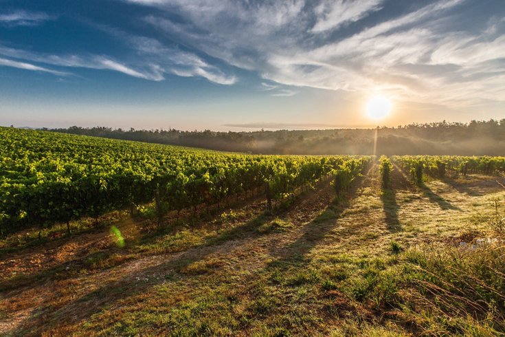 Domaine AbracadaRoom : Homnest (Mortagne) - Image 5