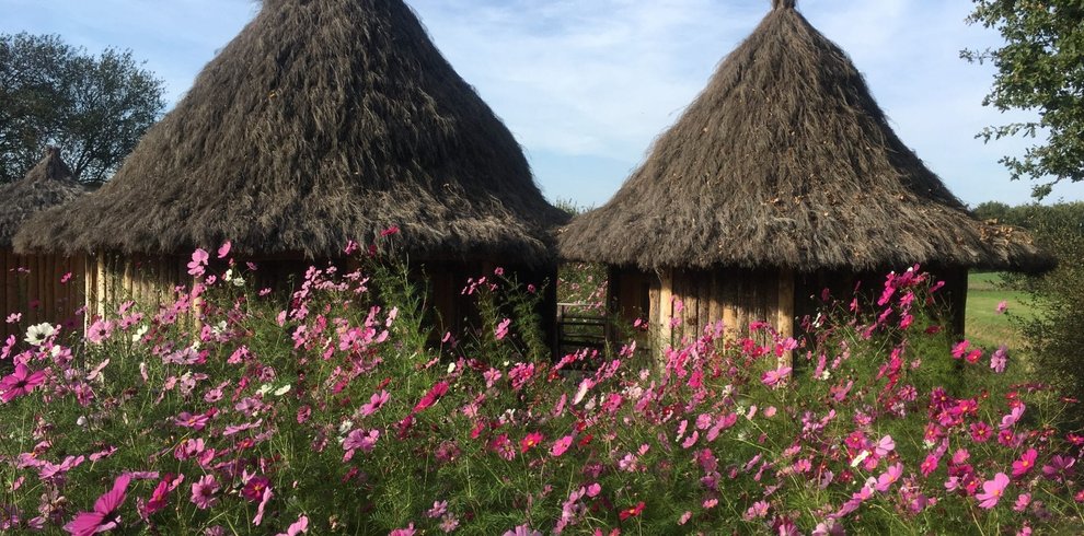 Hébergement AbracadaRoom : Lodge Lulu - Image 9