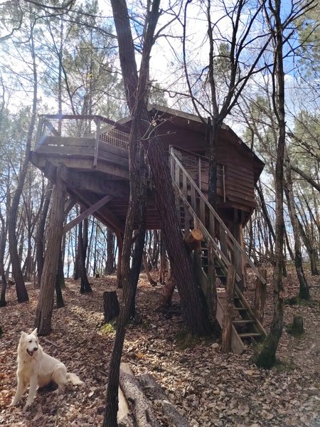 Hébergement AbracadaRoom : Cabane Murmure de Feuilles – Une parenthèse suspendue au cœur de la nature - Image 4