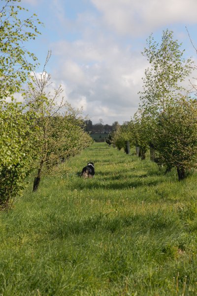 Domaine AbracadaRoom : Parcel Tiny House - à 50 min de Paris - Image 5