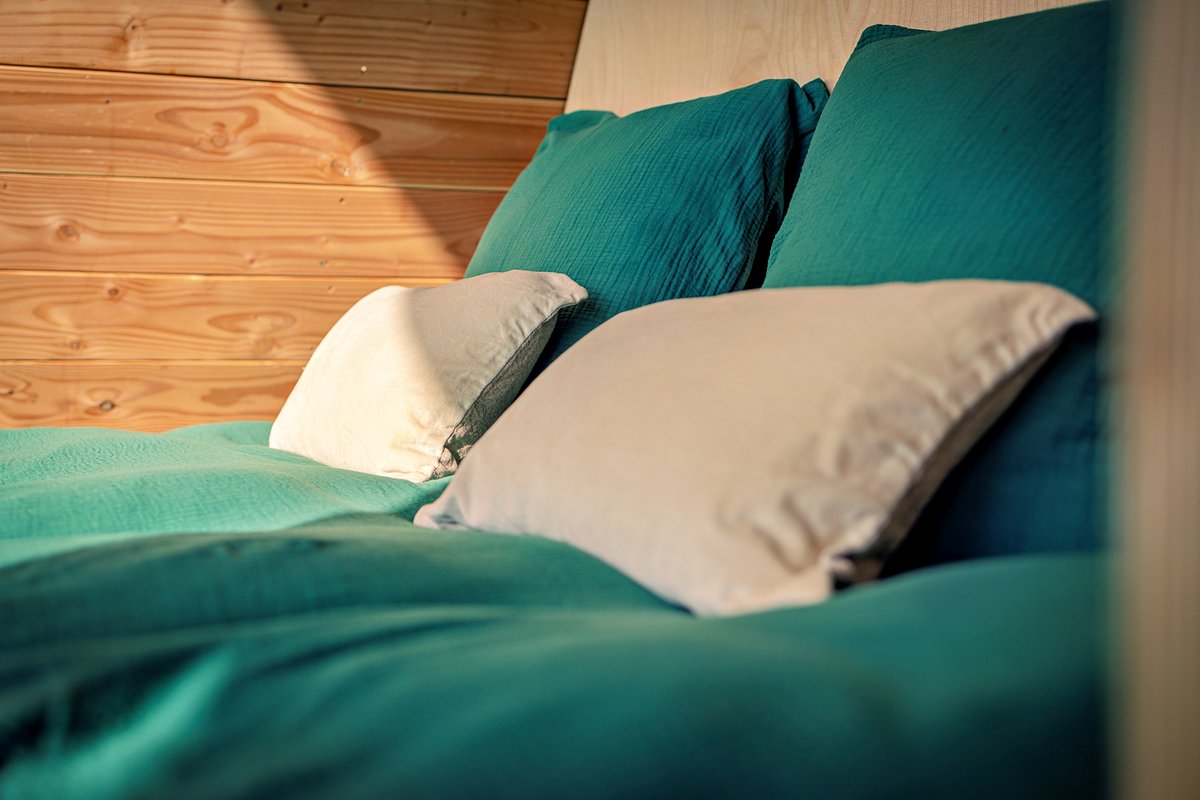 Singi : ecolodge de luxe en pleine nature avec bain nordique à Massingy-Lès-Vitteaux (7)