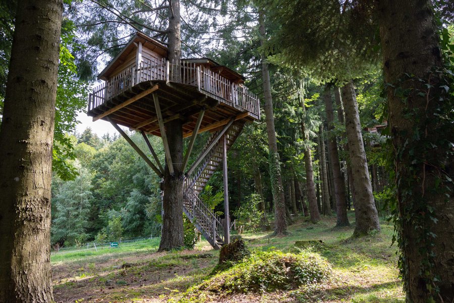 Hébergement AbracadaRoom : Cabane Marmotte - Image 5