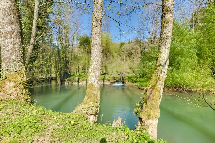 Domaine AbracadaRoom : Domaine de Mieslot - Image 8