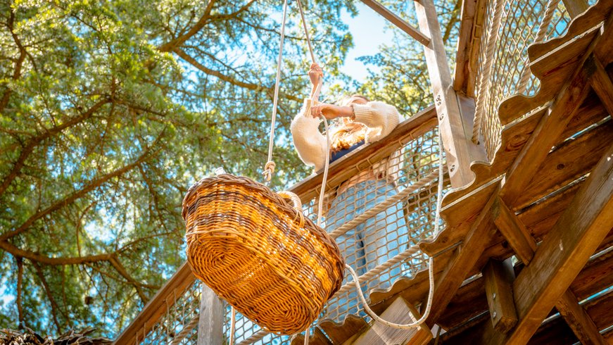 Hébergement AbracadaRoom : Rollier - Image 9