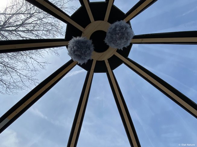 Hébergement AbracadaRoom : La bulle nuage d'Etat Nature - Image 8