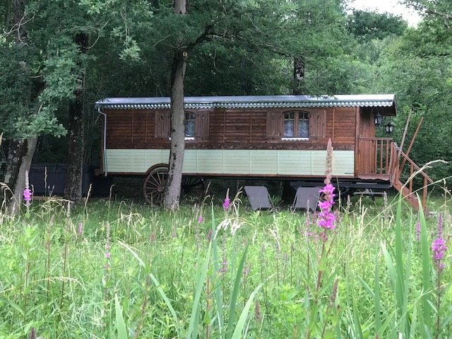 Hébergement AbracadaRoom : Roulotte Spa Forestière - Image 2