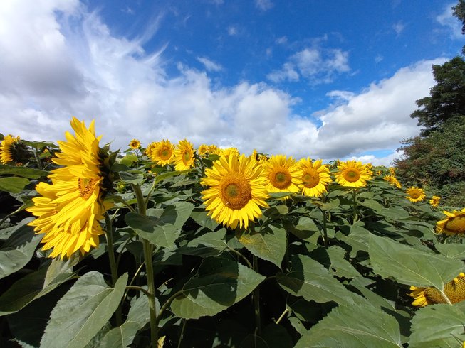 Domaine AbracadaRoom : Glamping La Fraventure - Image 33