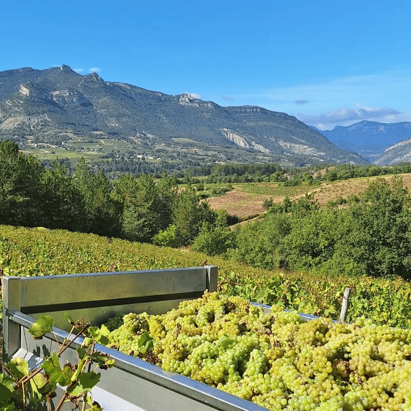 ※ Homnest ※ Cirque des Géants ※ Vignoble à 20 min de Die à Aurel (21)