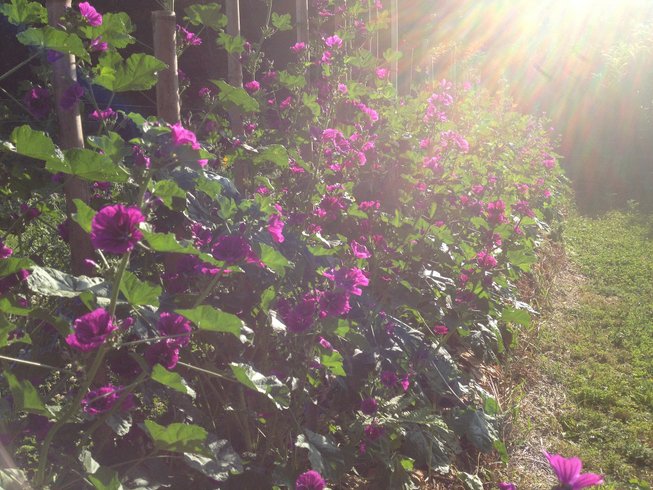 Domaine AbracadaRoom : Les Jardins d'Yzorche - Image 5