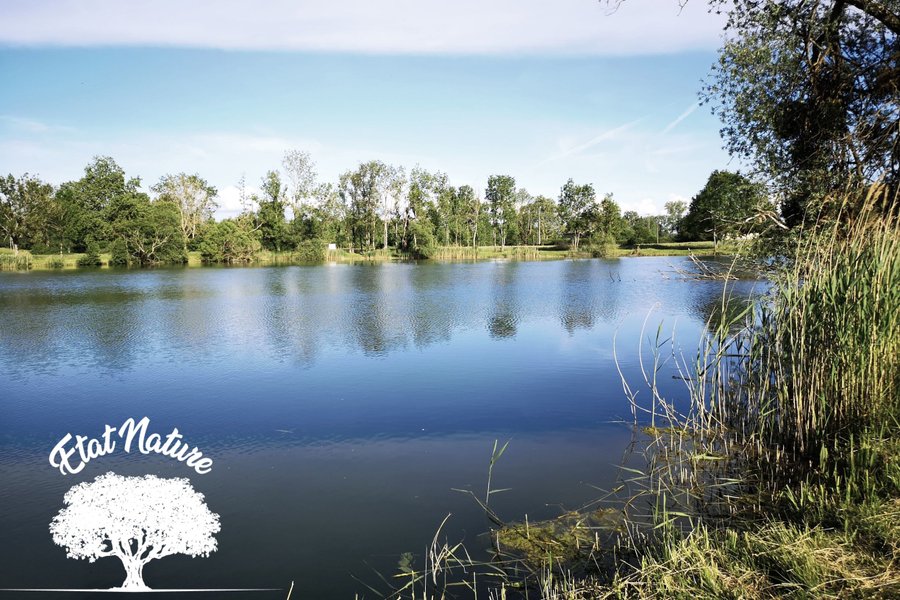 Domaine AbracadaRoom : Etat Nature - Image 6