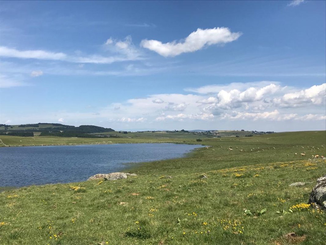 Buron Cœur d’Aubrac à Marchastel (19)