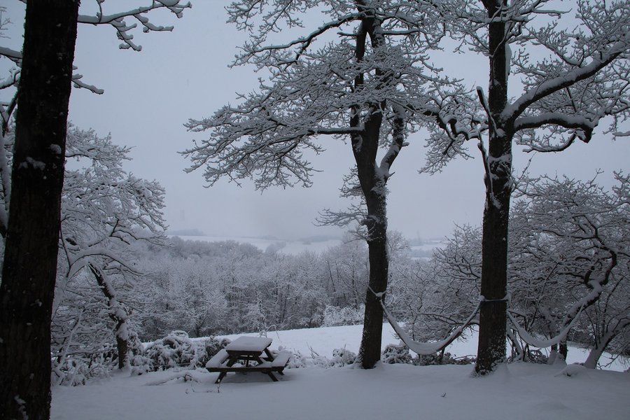 Domaine AbracadaRoom : Au Bois d'Escoumos - Image 16