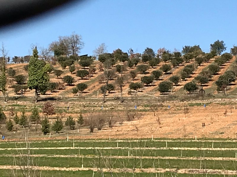 Domaine AbracadaRoom : La Ferme de la Truffe - Image 3