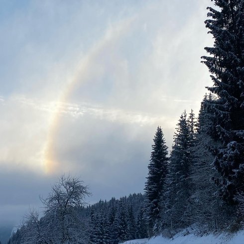 Hébergement AbracadaRoom : Cabane Feuille & Spa - Image 14