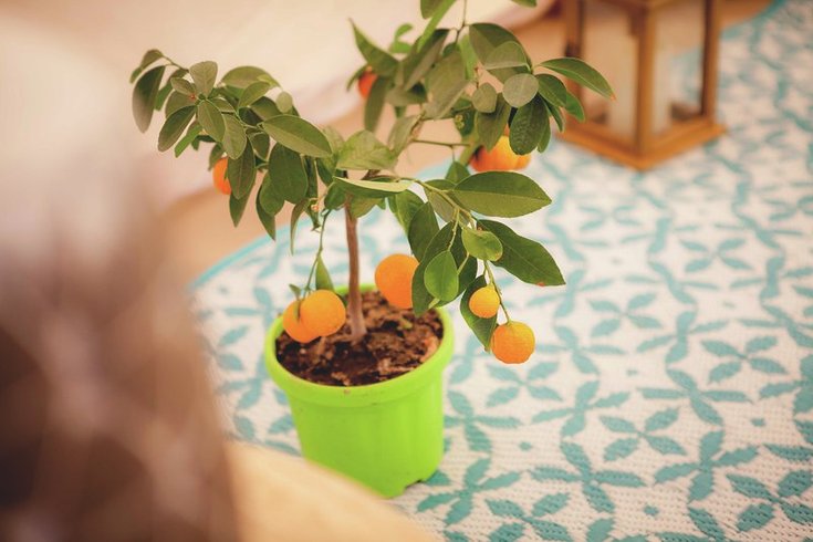 Hébergement AbracadaRoom : La Tente - Image 6