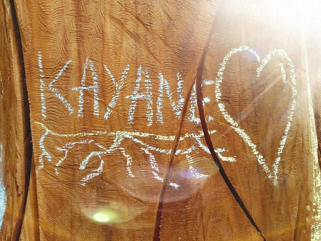 Domaine AbracadaRoom : KAYANE "balades à dos d'âne & nuitées atypiques" - Image 10