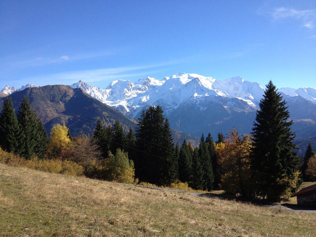 Cabane dans les arbres - La Verte, vue sur le Mont Blanc à Passy (6)