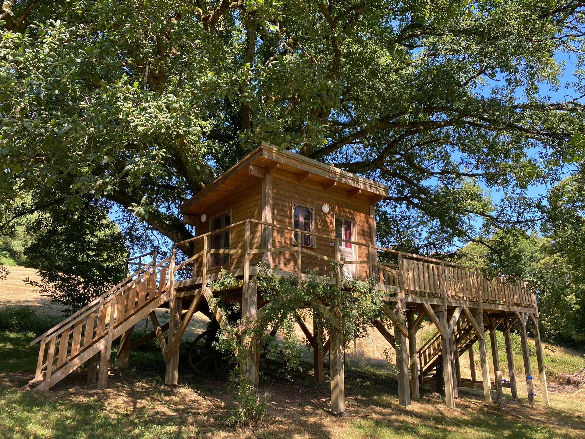 La Cabane dans le chêne tricentenaire