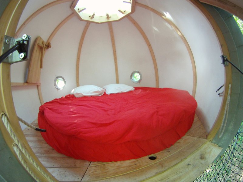 Hébergement AbracadaRoom : Lov'Branches - Image 3