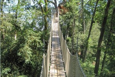 pont-buis-cabane-belle