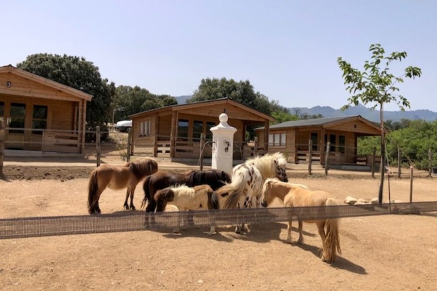 Hébergement AbracadaRoom : Les chalets de Tesa 3 - Image 17
