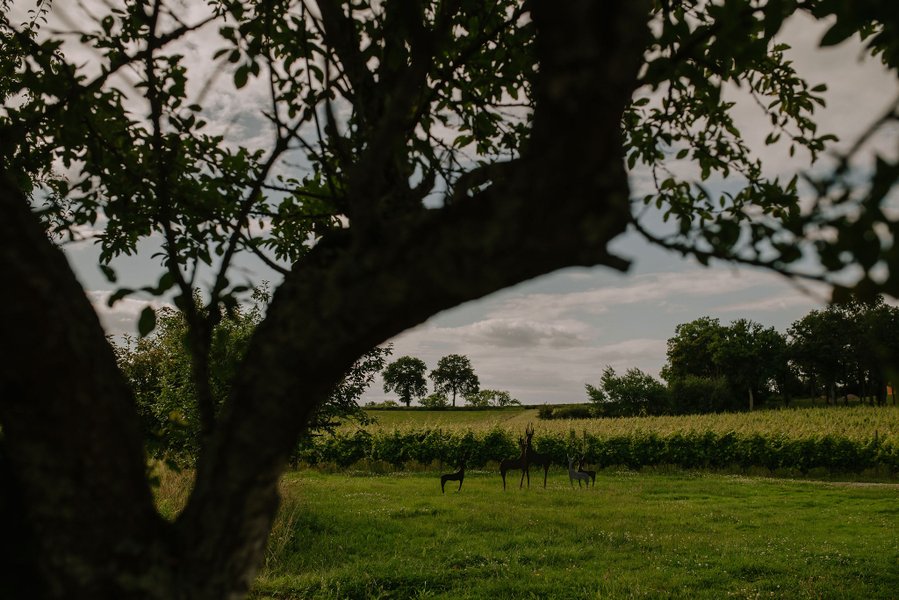 Hébergement AbracadaRoom : Villa Hakuna Matata - Image 23