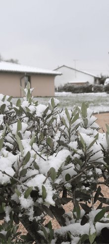 Domaine AbracadaRoom : Moulin de la brevette - Image 30