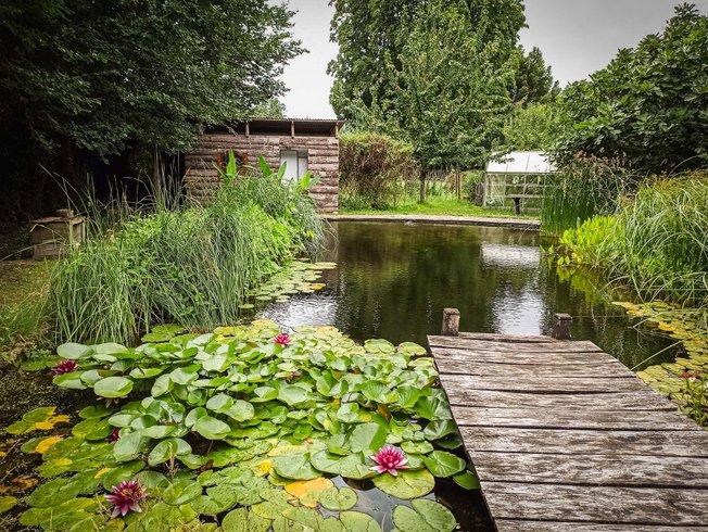 Hébergement AbracadaRoom : Roulotte climatisée avec piscine naturelle - Image 2