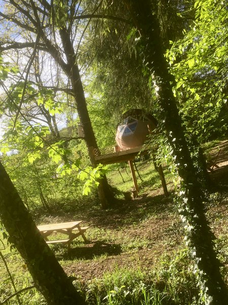 Hébergement AbracadaRoom : Petite Ourse - Image 5