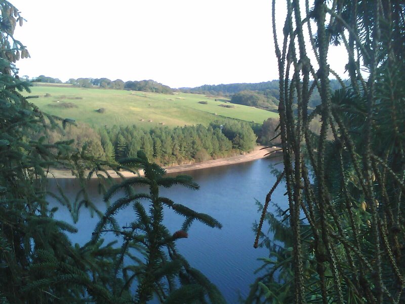 Domaine AbracadaRoom : A Un Fil - Image 6