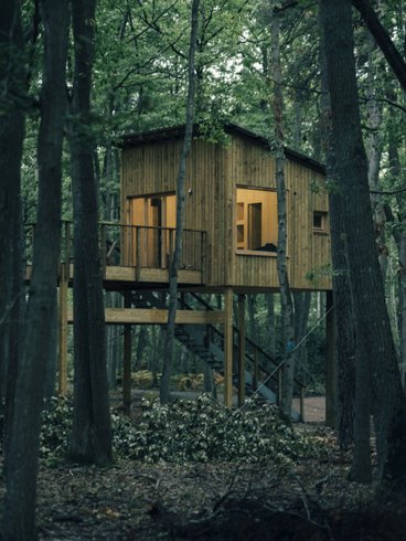 Domaine AbracadaRoom : Youza Ecolodge - Image 3