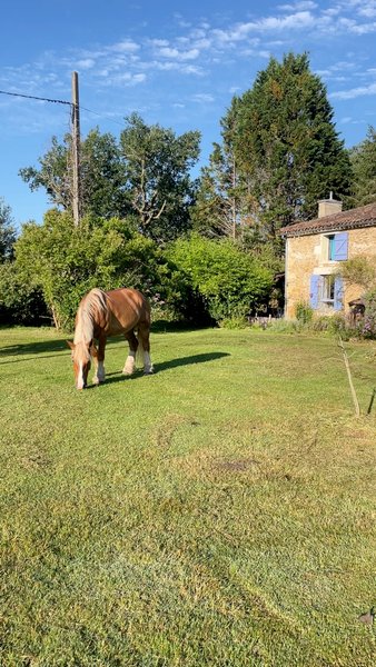 Domaine AbracadaRoom : Les Landines - Image 22