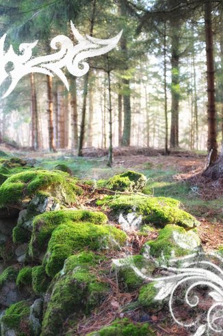 Domaine AbracadaRoom : LA ROCHE AUX FEES - Image 10