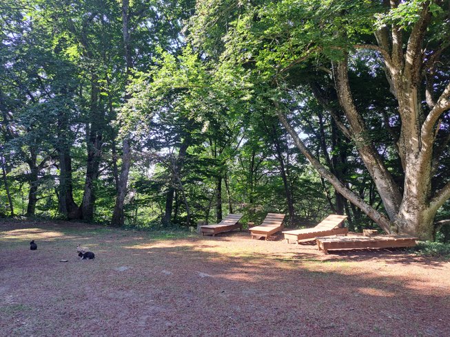Hébergement AbracadaRoom : Le Refuge d'Yzeron - Image 64