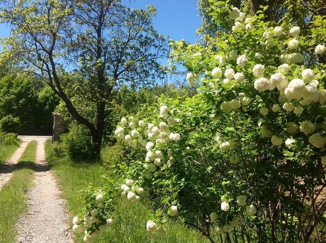 Domaine AbracadaRoom : Le Mas des Pins - Image 1