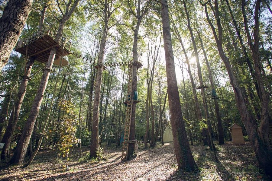 Hébergement AbracadaRoom : Bulle Haute la Maison du Rocher - Image 2