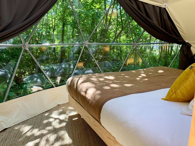 Hébergement AbracadaRoom : Géode Frêne Doré - Image 4