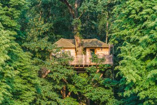 Cabane dans les arbres Oise