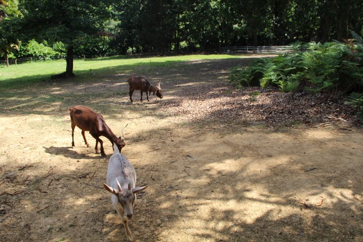 Hébergement AbracadaRoom : La Petite Yourte - Image 15