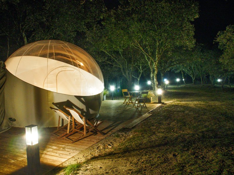 Domaine AbracadaRoom : Domaine de Regardebon - Image 10