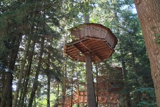 Cabane Renard