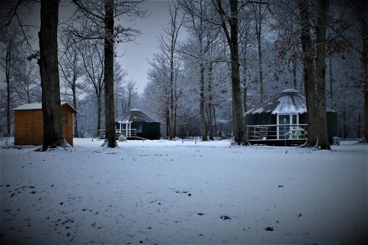 Domaine AbracadaRoom : Yourte Royales - Image 6