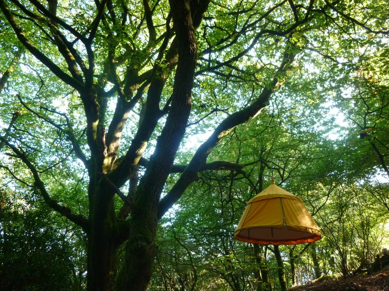 Hébergement AbracadaRoom : Plum'arbres 3 - Image 6