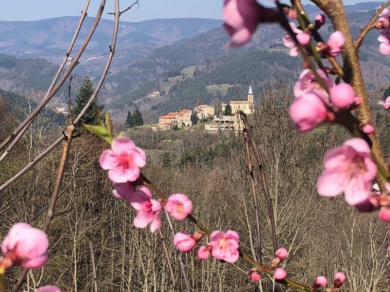 Domaine AbracadaRoom : Par les monts étoilés - Image 9