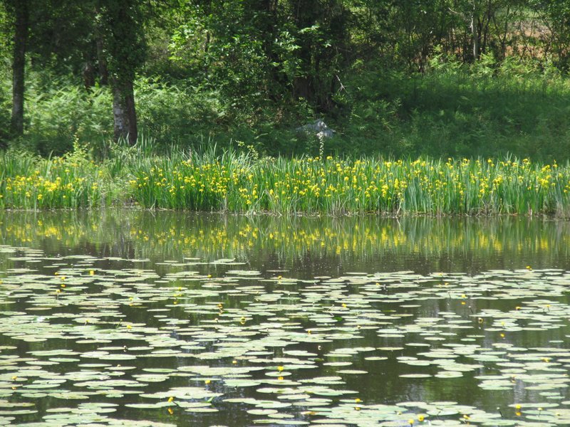 Domaine AbracadaRoom : Une Nuit aux Lierres - Image 2