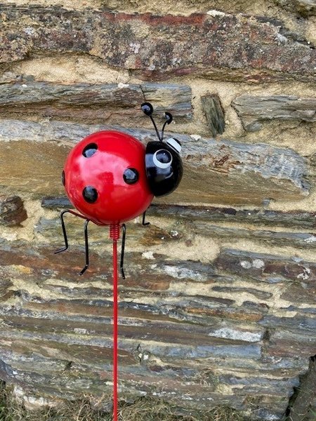 Domaine AbracadaRoom : LES INSOLITES DE SOPHIE - Image 10