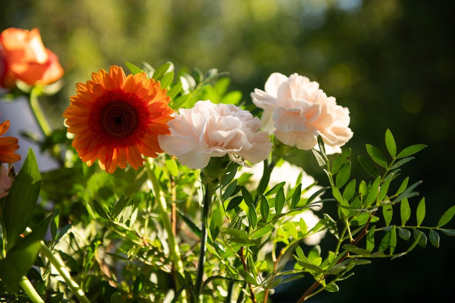Domaine AbracadaRoom : La Jolie Longère Fleurie - Image 16